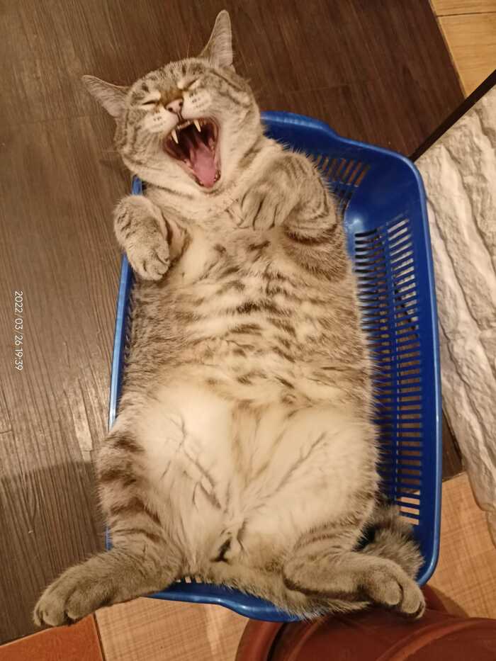 «Нет у нас подушки, нет и одеяла...»