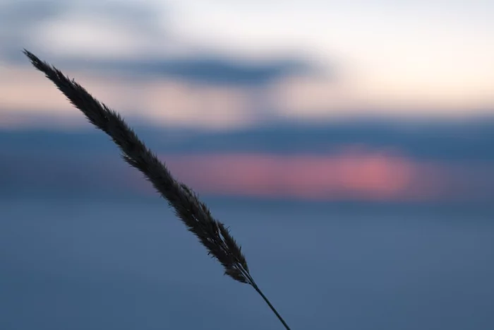 Waiting for the sun - My, Landscape, Morning, Chuvashia, 50mm, Sky, Bokeh, Field, dawn, Sunrises and sunsets, The sun