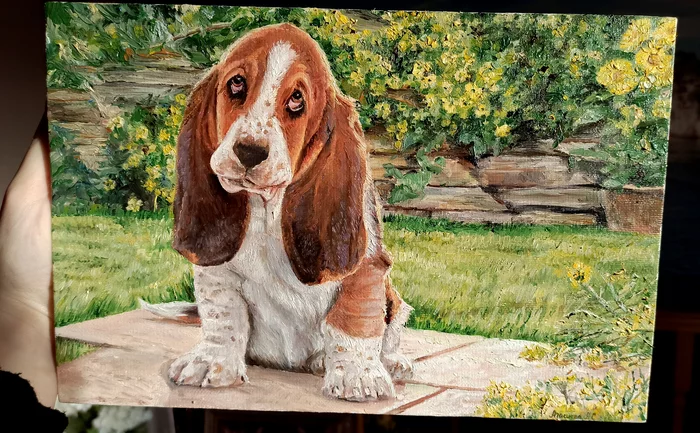 Sweet puppy, oil on canvas. 30x40 cm - My, Dog, Basset Hound, Painting, Oil painting, Oil paints, Pets, Animals, Milota, Puppies, Art, Painting, Art