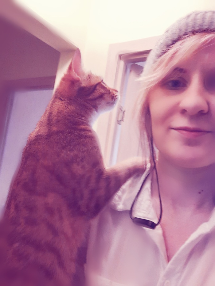 ������ � �������������