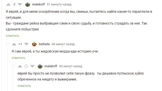 Евреи умеют в аргументы... - Скриншот, Комментарии на Пикабу, Евреи, Ругательства, Мат