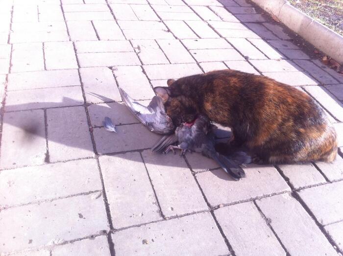 ��������� ��������!