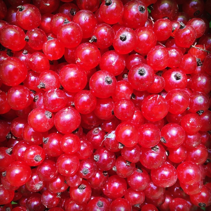 Кусочек лета. Вспоминае о доме Лето, Красный, Ягоды, Дом, Воспоминания, Длиннопост