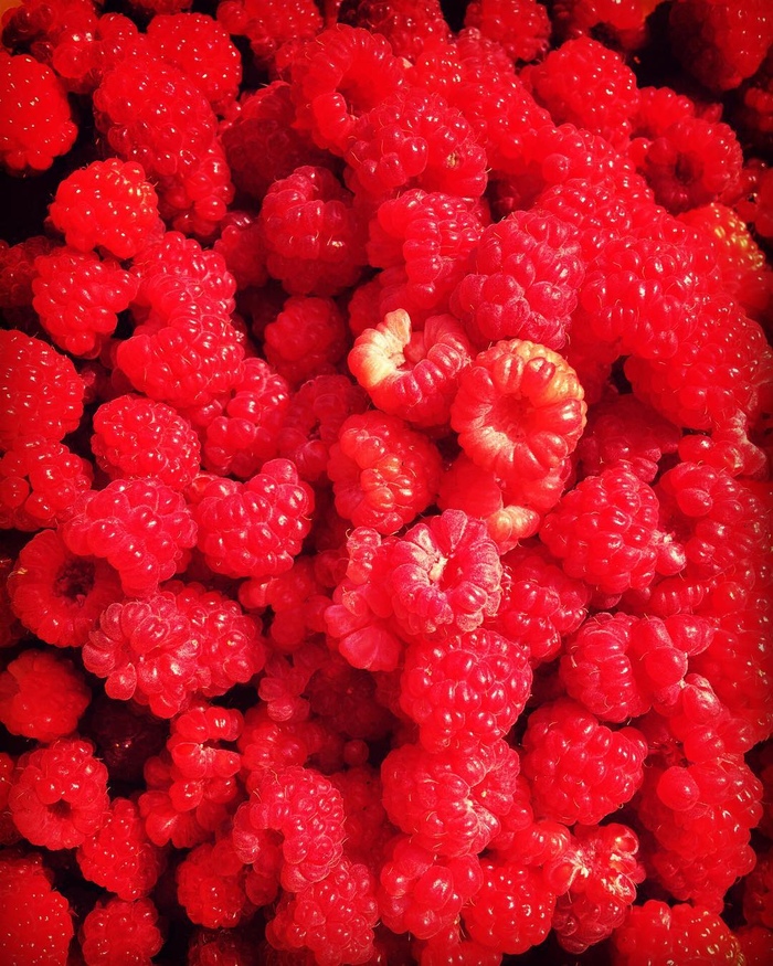 Кусочек лета. Вспоминае о доме Лето, Красный, Ягоды, Дом, Воспоминания, Длиннопост