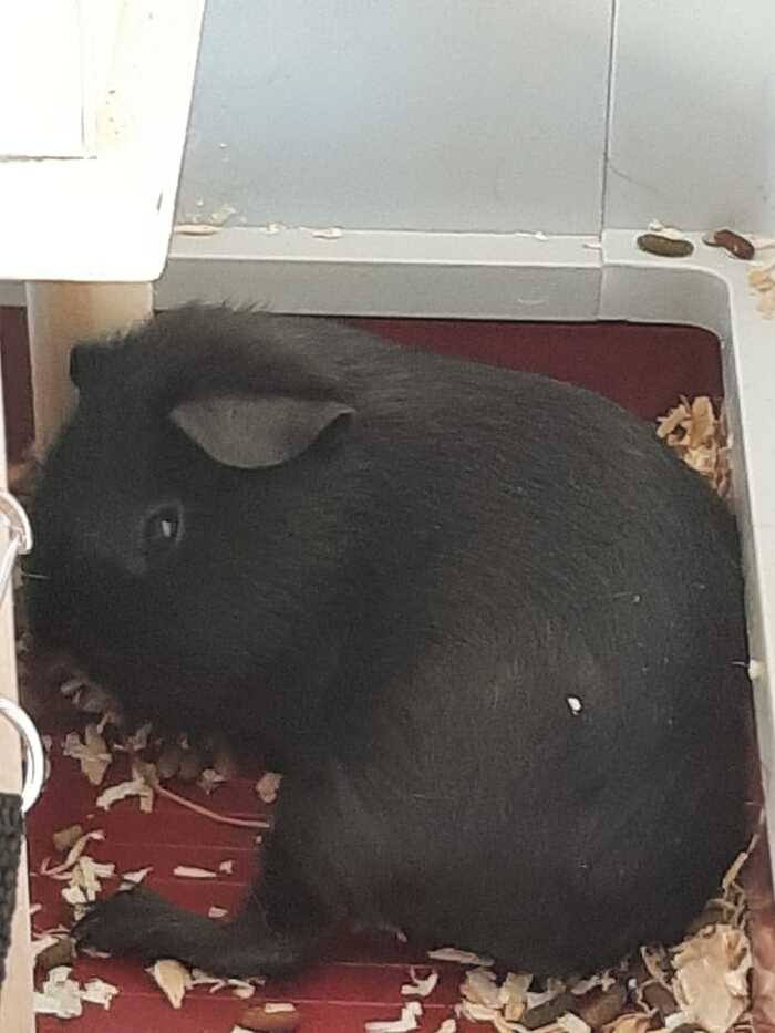 � ��� � ��� ������� ������� ������, �������� ��������, ����������