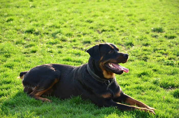 ����� �� ���� �������� ���� � ���� ����� �����������