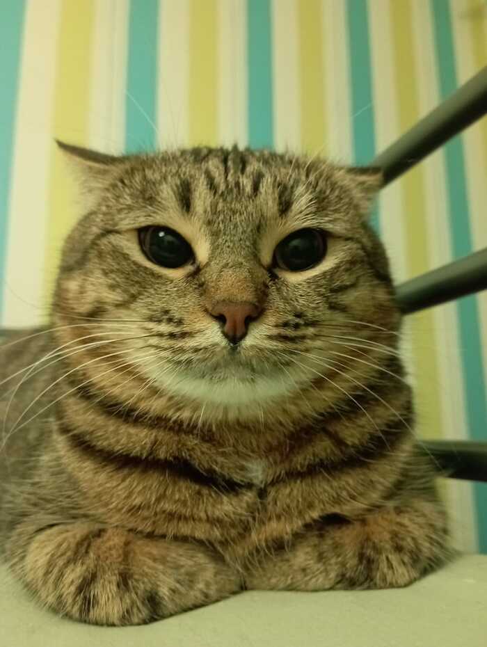 ��� ����� �������� ����������...)