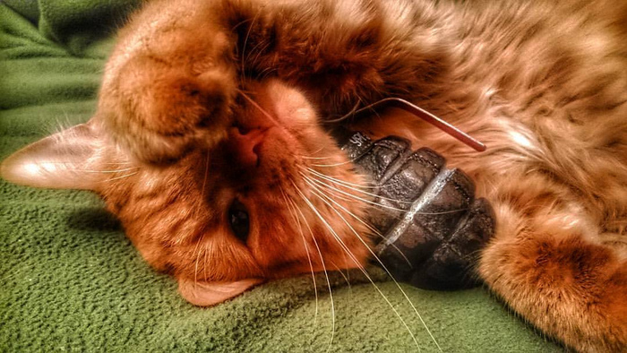 �� ������� ���� �� ����������)