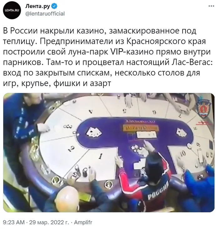 В Красноярском крае накрыли казино, замаскированное под теплицу - Twitter, Скриншот, Россия, Красноярский край, Казино, Теплица, Lenta ru, МВД, Криминал, Азартные игры, Лас-Вегас, Видео