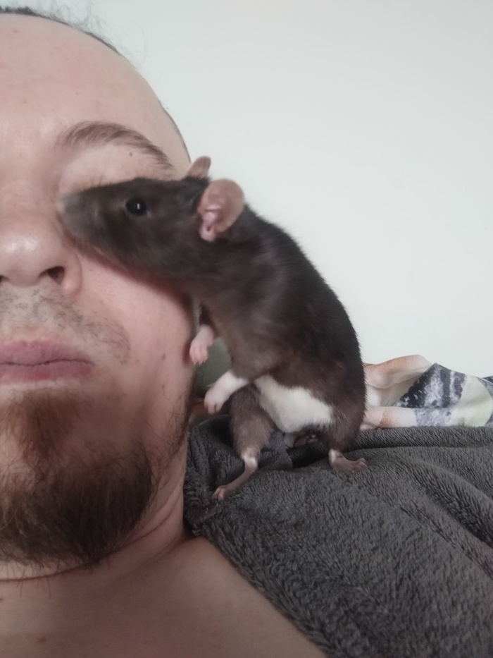 Вкусный нос)))