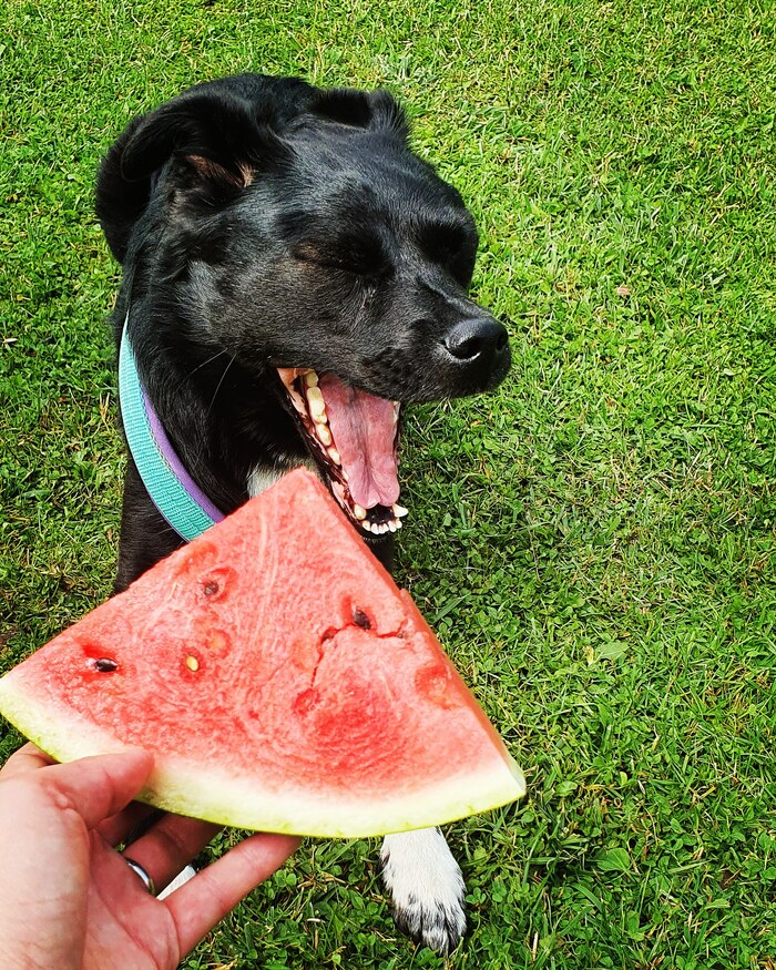 ����� �� ���� "������� ���� � ���� ����� ����������"