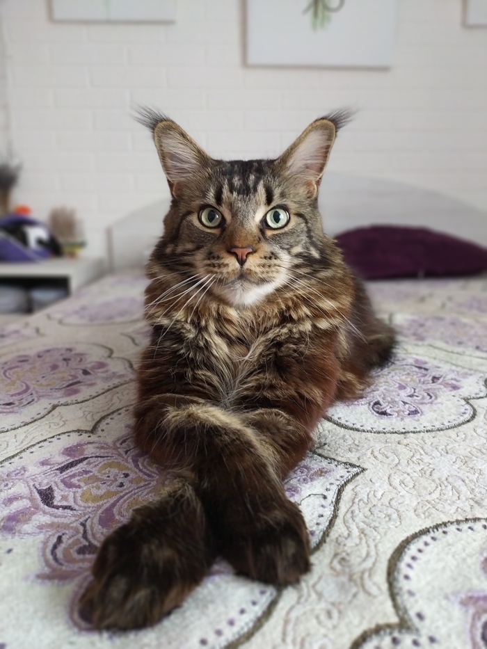 ��������� ������ ����