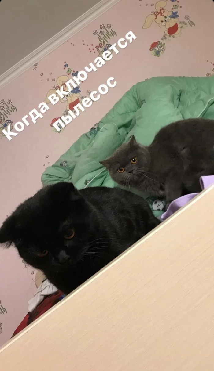 ����������� ������������ ������