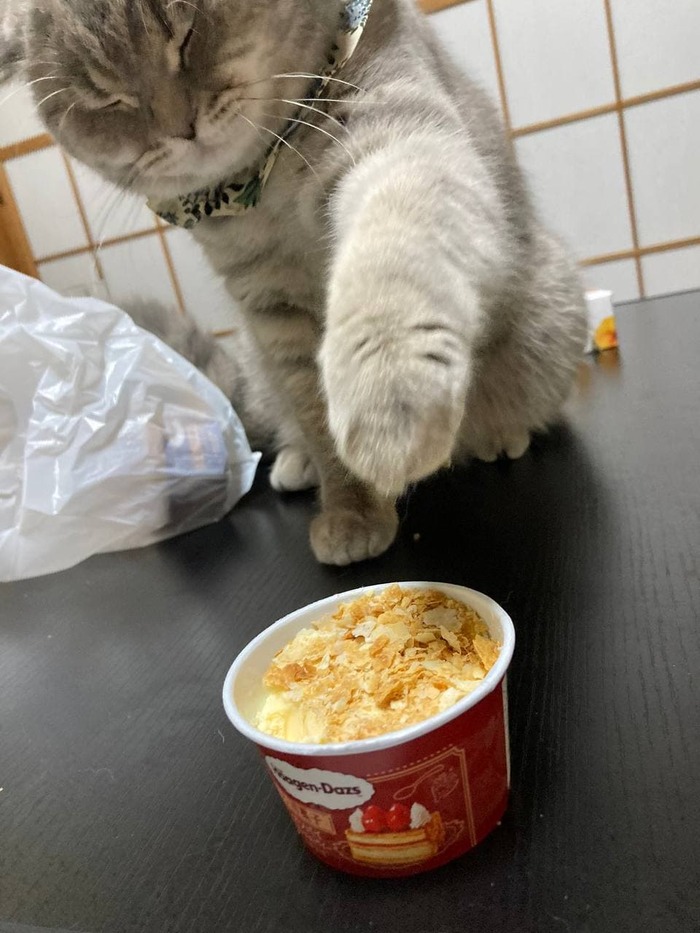 Если закрыть глаза, то меня никто не увидит