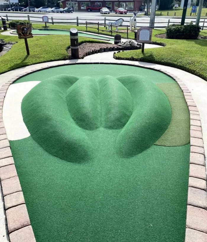   ... , , 