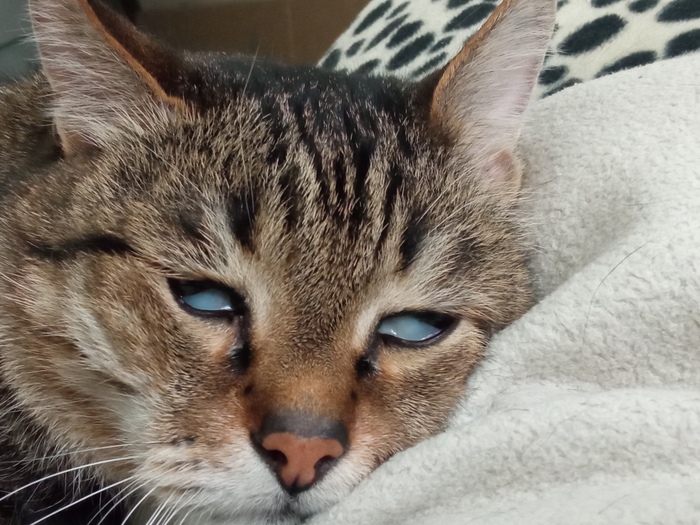 Про предположение