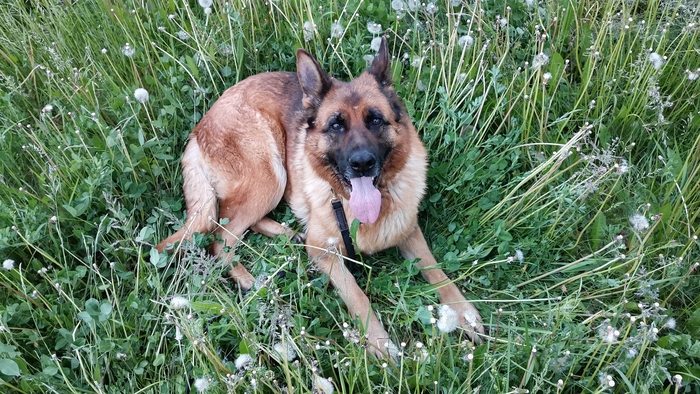 ����� �� ���� �������� ���� � ���� ����� �����������