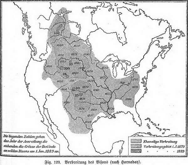 Extermination of the American Bison - Genocide of Indians in the United States by Starvation - Politics, USA, Indians, Genocide, Buffalo, Cards, Scull, Wild West, Longpost