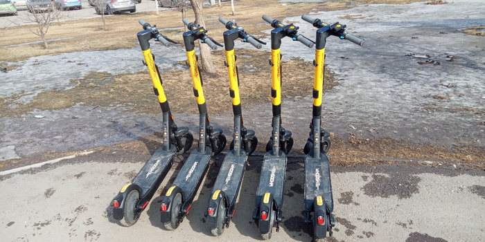 ������������� �����������, ����������...