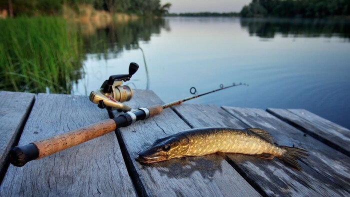 Майская рыбалка в Карелии