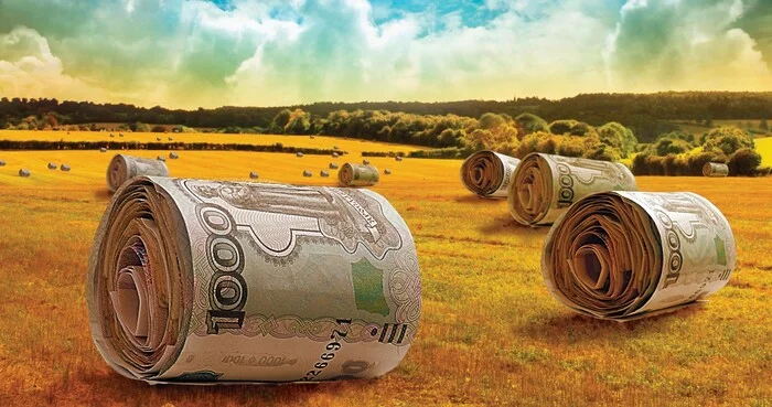 The ruble is stabbed: Russia will sell wheat in national currency - My, Politics, Economy, Sanctions, Export, Wheat, Ruble