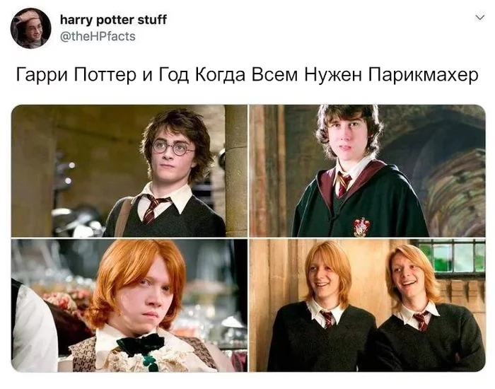 A rather strange year - Harry Potter, Harry Potter and the Goblet of Fire, Прическа, The hairdresser, Picture with text, Translated by myself, Twitter