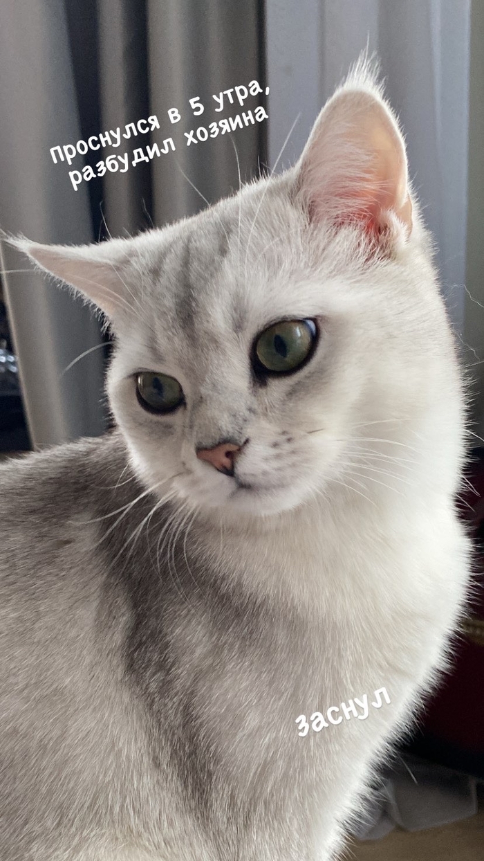 ������� ������. ������ �������