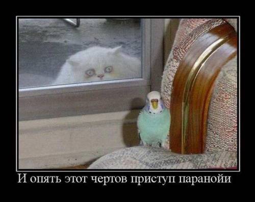 � ����� ���� ������ ������� ��������