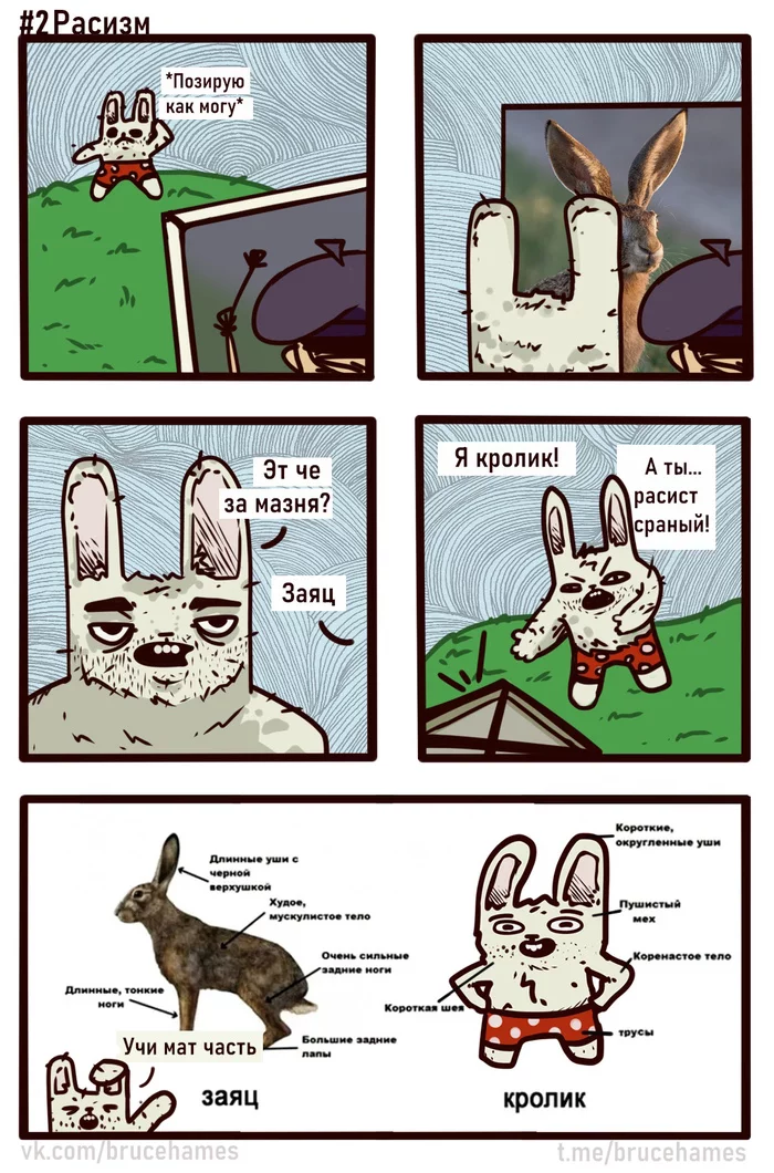 racism - My, Memes, Humor, Rabbit, Animals, Racism, Comics, Web comic