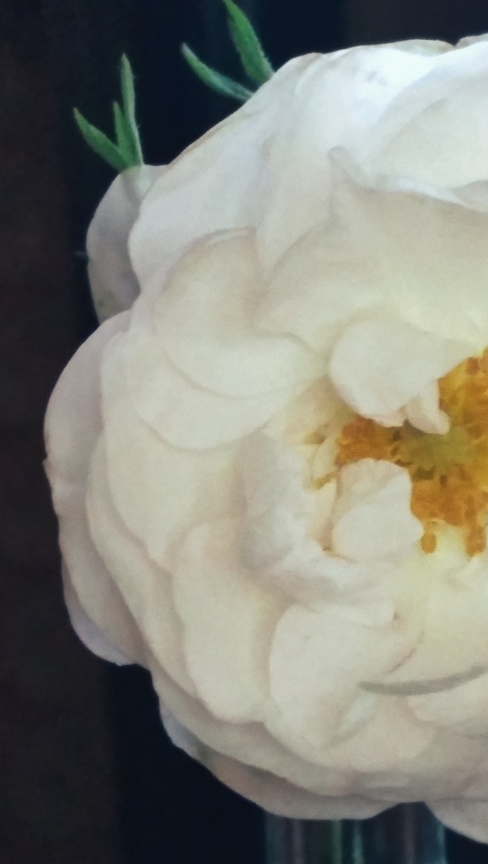 Просьба о Помощи в получении иин в Казахстане