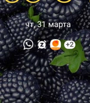 ��, ��������. ����� ��������� ������������