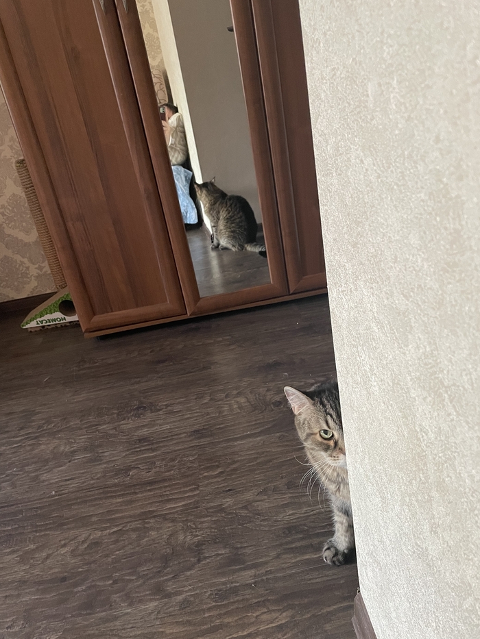 ��� ��������