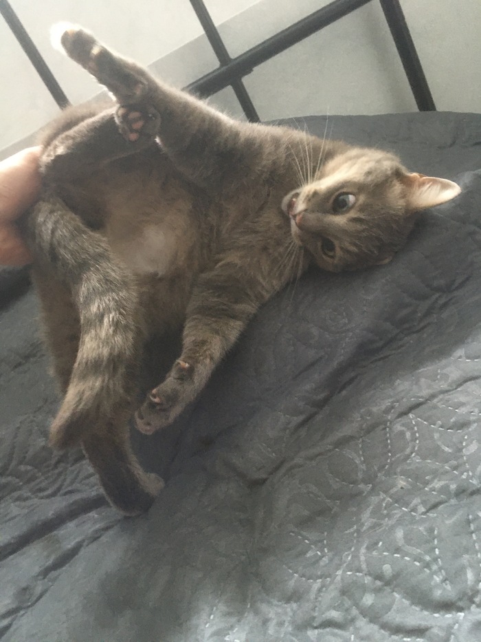 Пойман за сраку