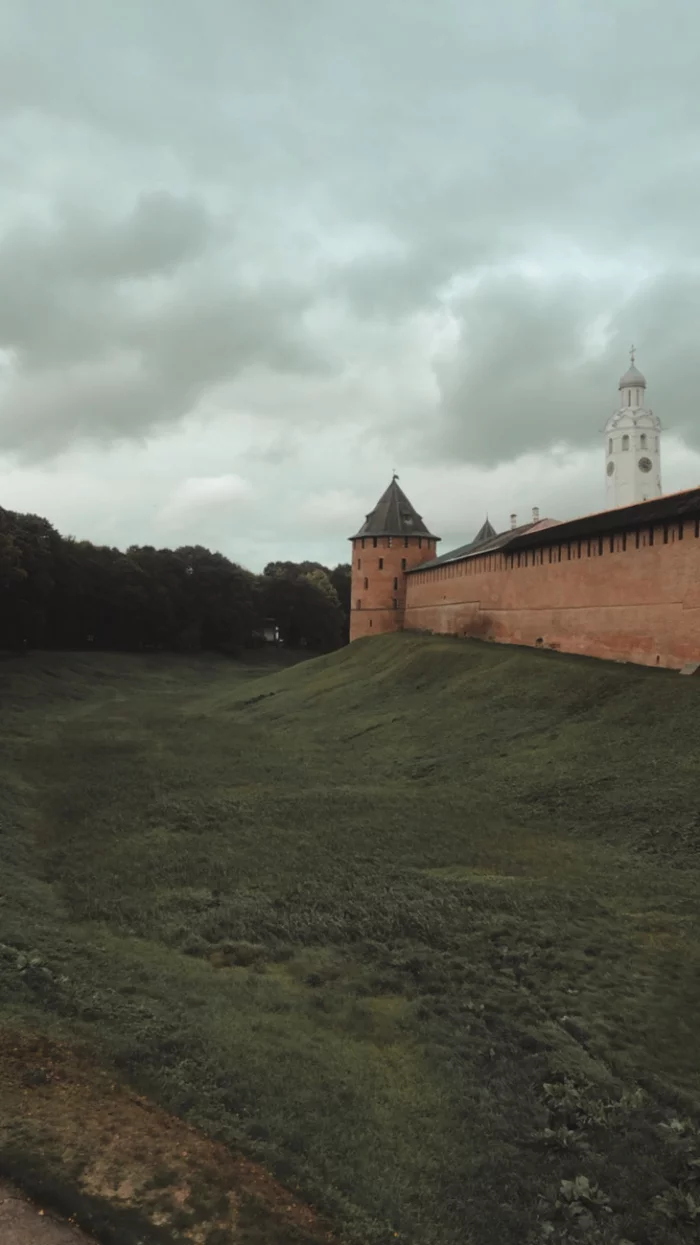 Vitoslavlitsy - My, Velikiy Novgorod, The photo, Wooden architecture, cat, Video, Vertical video, Longpost, 