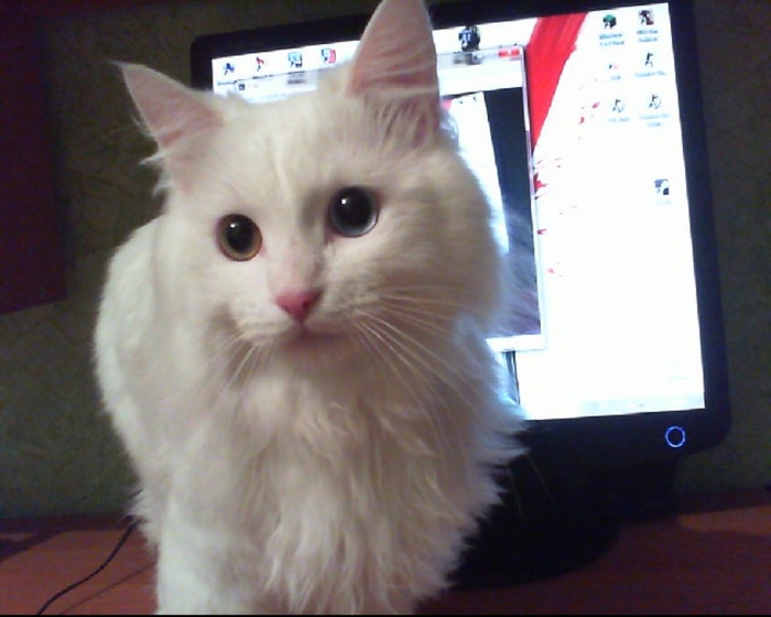 Был у меня один красавец