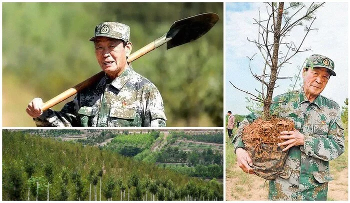 General serves ecology: former military planted a whole forest - Forest, Ecology, China, Desert, Sandstorm, Landscaping, Nursery, Volunteering, Longpost, 