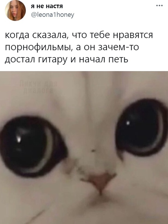 �� ������