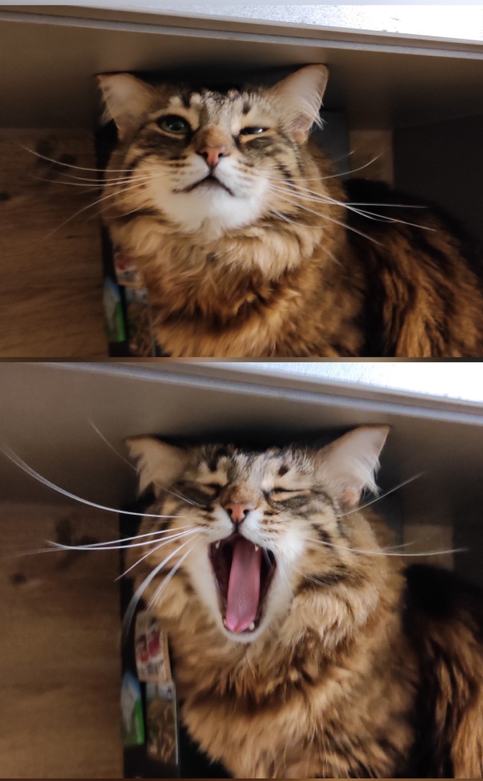  !