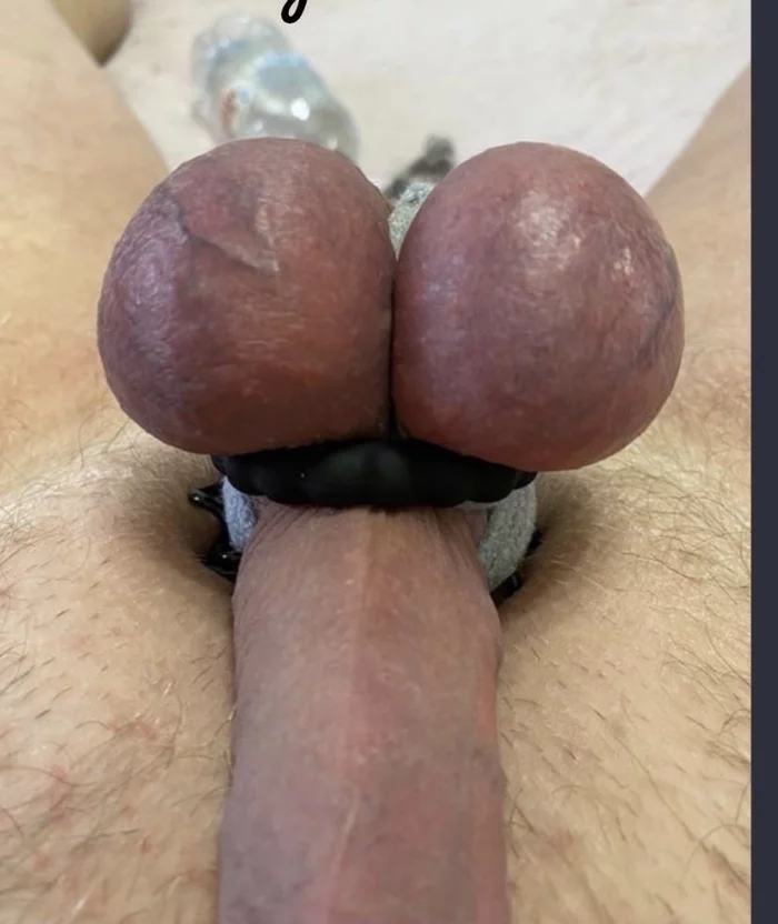 To Your Judgment, Ladies and Gentlemen - NSFW, My, Playgirl, Penis, Testicles, Author's male erotica, Longpost, 