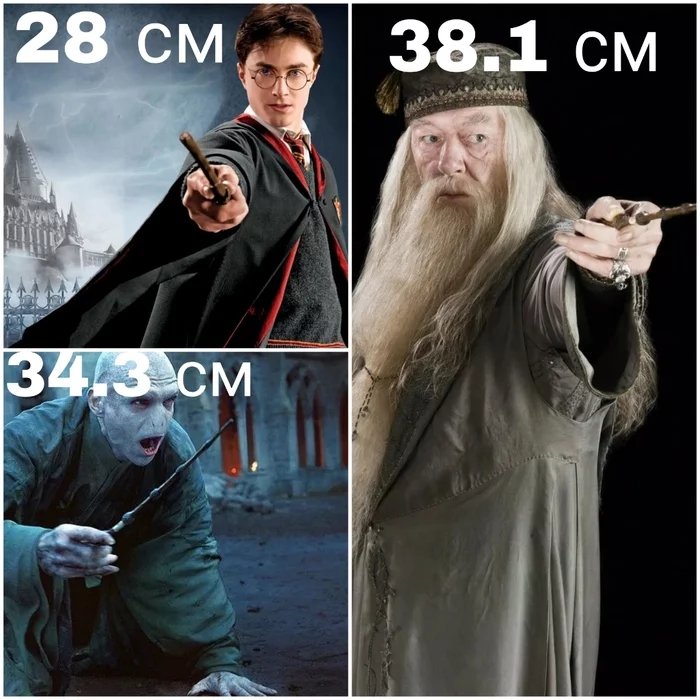 A very large stick, or size matters - My, Magic, Middle earth, Harry Potter, Saruman, Gandalf, Humor, Characters (edit), Lord of the Rings, Voldemort, Tolkien, Memes, Albus Dumbledore, Staff, Magic wand, Collage, The size, Longpost, 