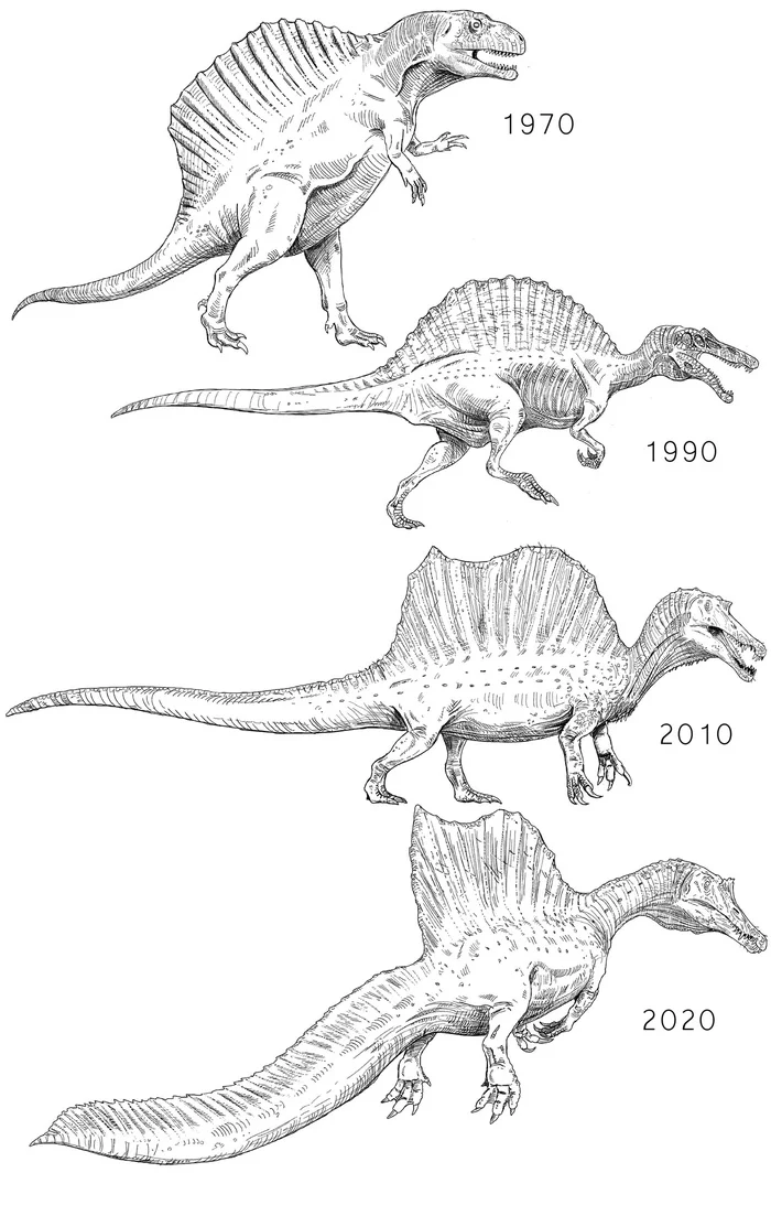 New parts of the skeleton of Spinosaurus radically change the ideas of scientists about its way of life - My, Spinosaurus, Paleontology, Dinosaurs, April 1, Humor, Longpost, 