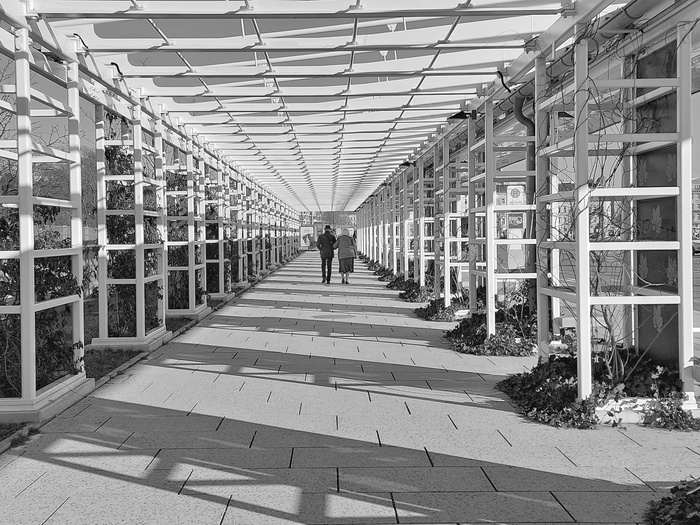 Мобильное фото 3 1/2