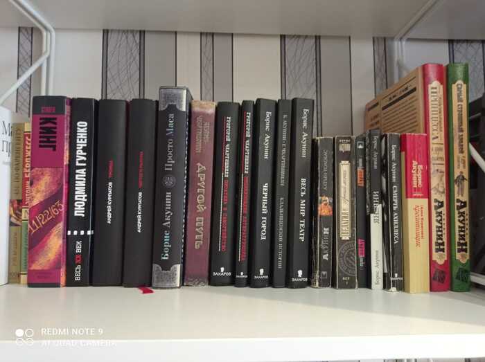 Bookshelves - My, Hobby, Books, Reading, Boasting, Boris Akunin, Erast Fandorin, Writers, 