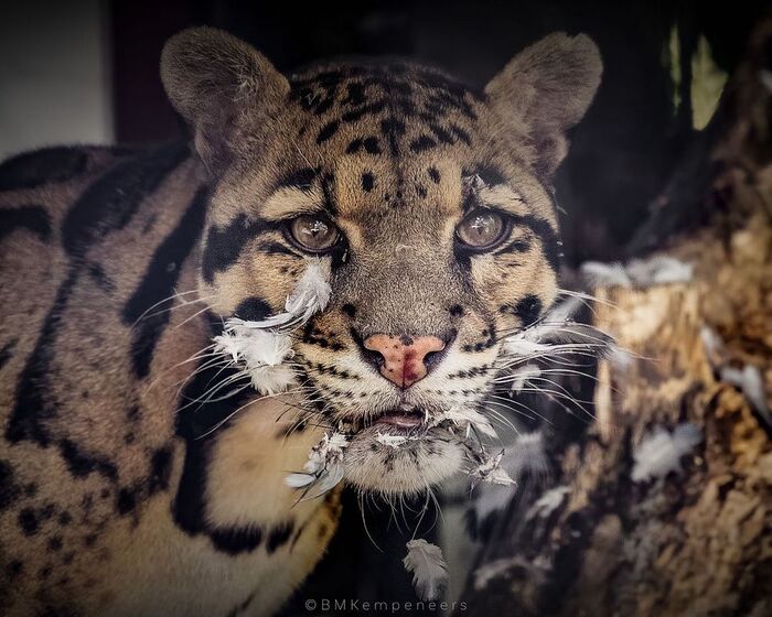 ������? �� �����