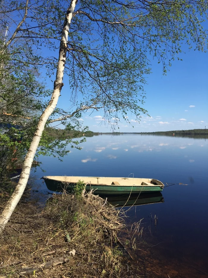 Svir - My, Svir River, The nature of Russia, Silence, 