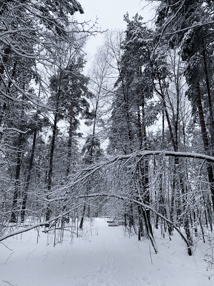 Апрельский январь