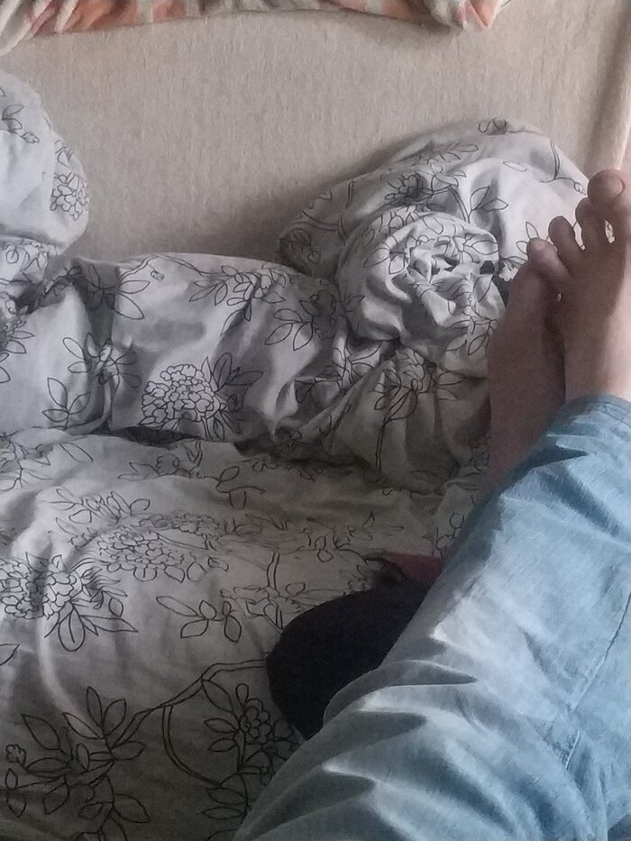  , 