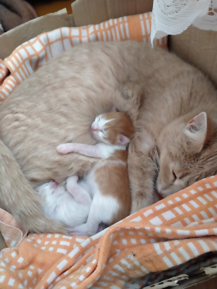 ���� � ��������