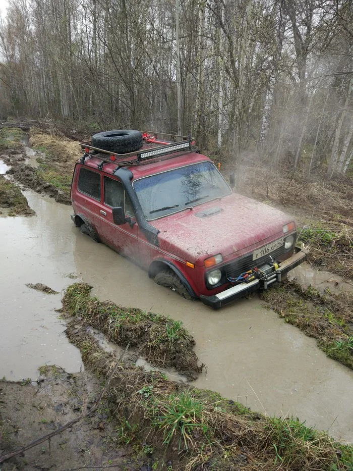 Russian villages through the eyes of a searcher. Part 2 - Village, Coin, Hobby, Nature, Longpost, , Hemp