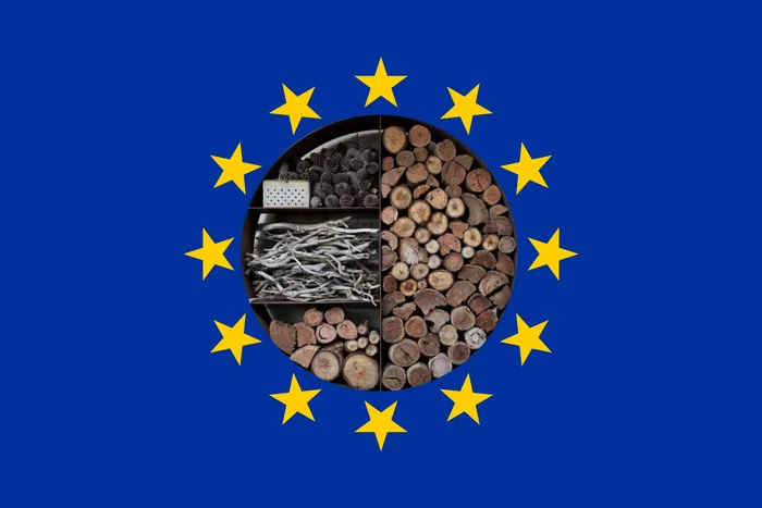 The European Parliament votes for a new design of the flag - My, European Union, Gas, Firewood, Humor, Politics, , Stars, Yellow, Blue, Installation, Design, Flag, A circle
